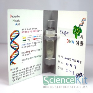 DNA추출 I -식물세포 (4인)