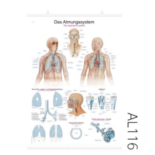 호흡기 차트(AL116)