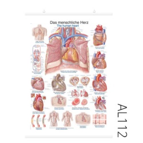심장 차트(AL112)