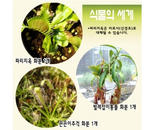 식충식물3종 - 식물의 세계